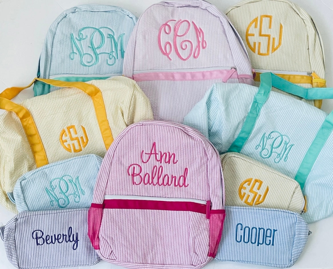 Seersucker Everything Bag