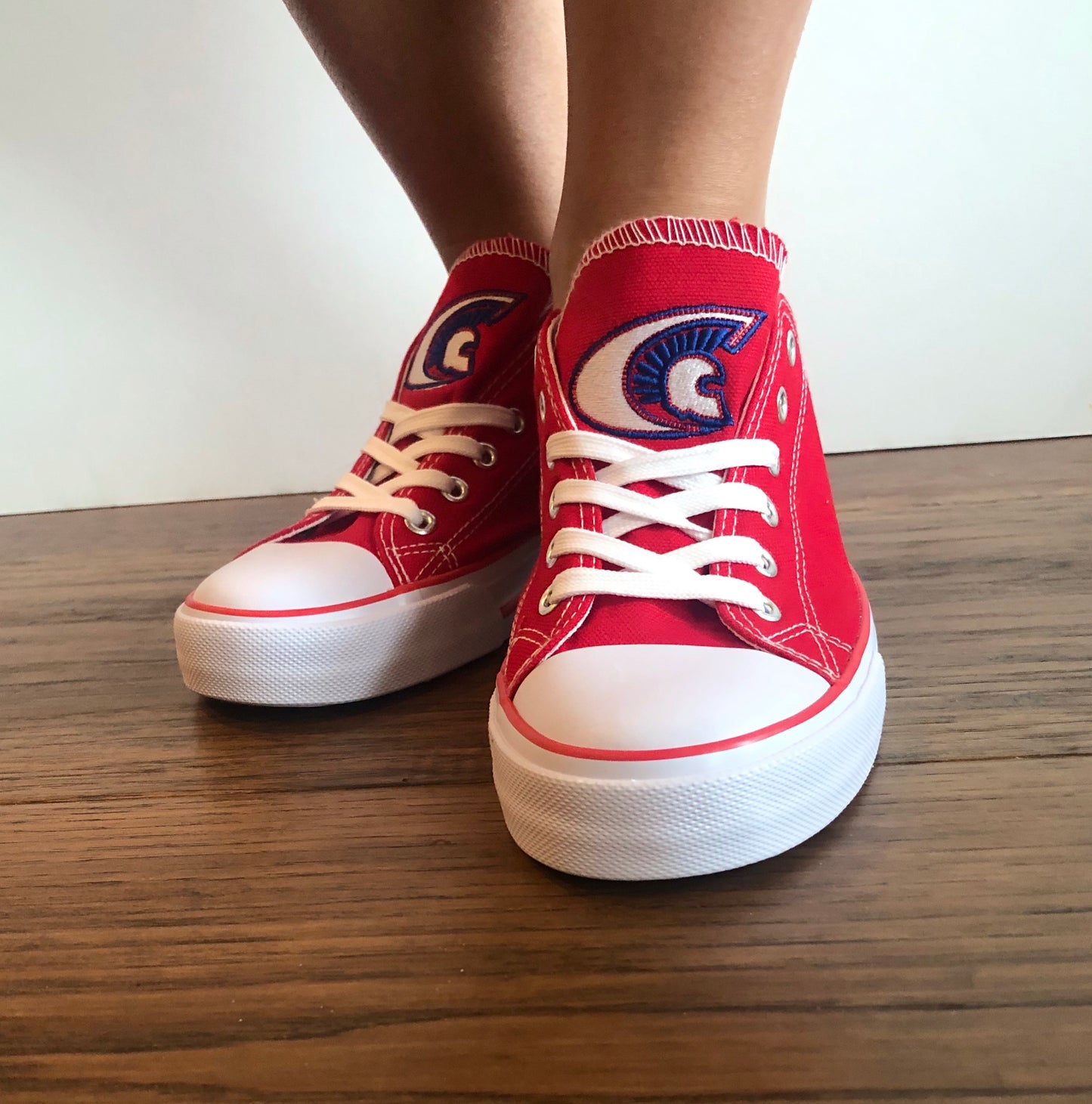 Canvas Shoes